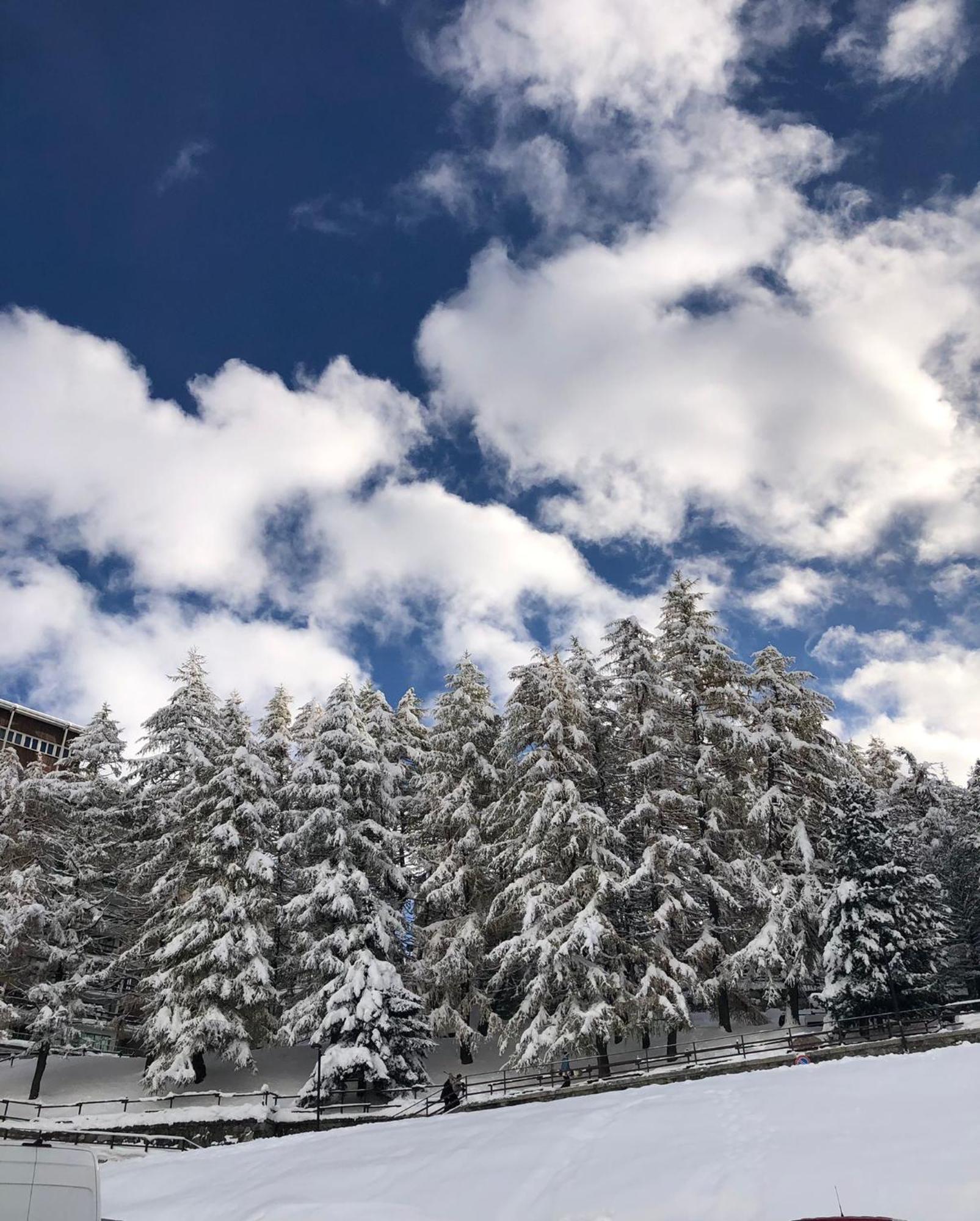 Cervinia - Matterhorn Apartments ブレウイル・チェルヴィナイア エクステリア 写真
